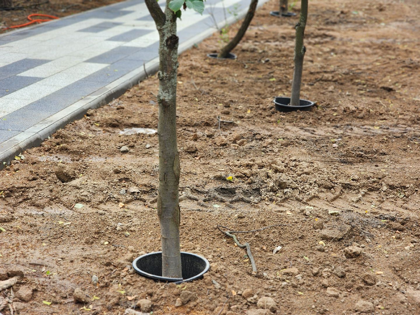 королёв, благоустройство, сквер у проходной ркк энергия, обновленный памятник ленину,