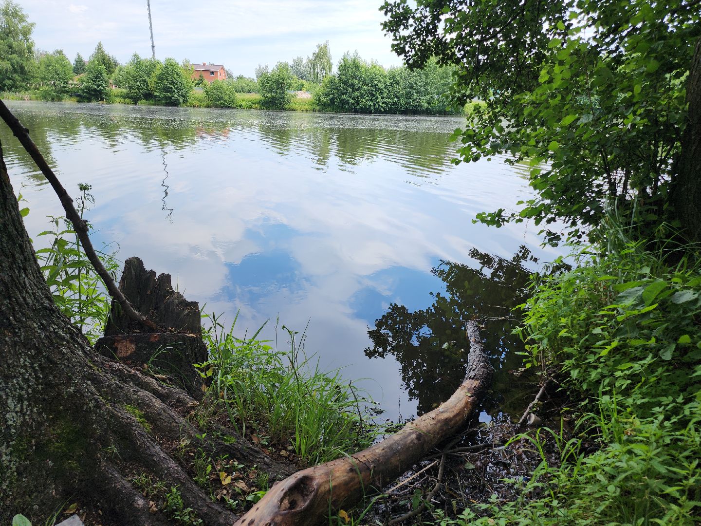 Егорьевск, Подмосковье, Московская область,