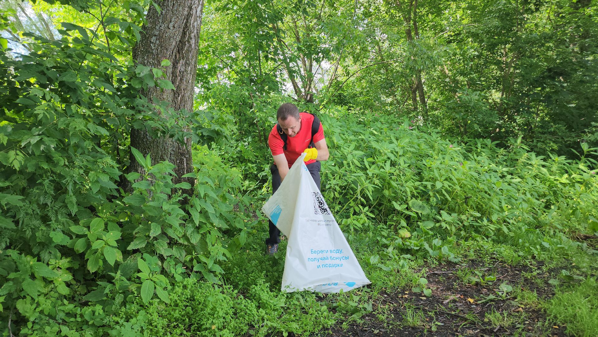 Егорьевск, Подмосковье, Московская область,