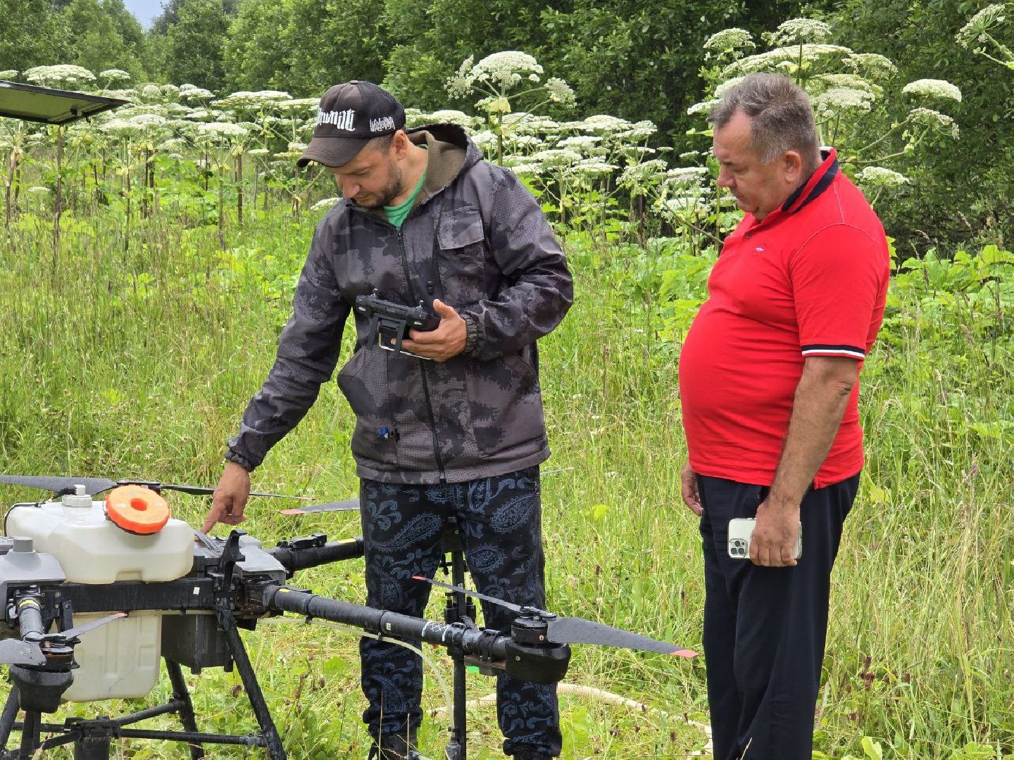можайск, можайский муниципальный округ, подмосковье, борьба с борщевиком, борщевик Сосновского , дроны, современные технологии, экология,