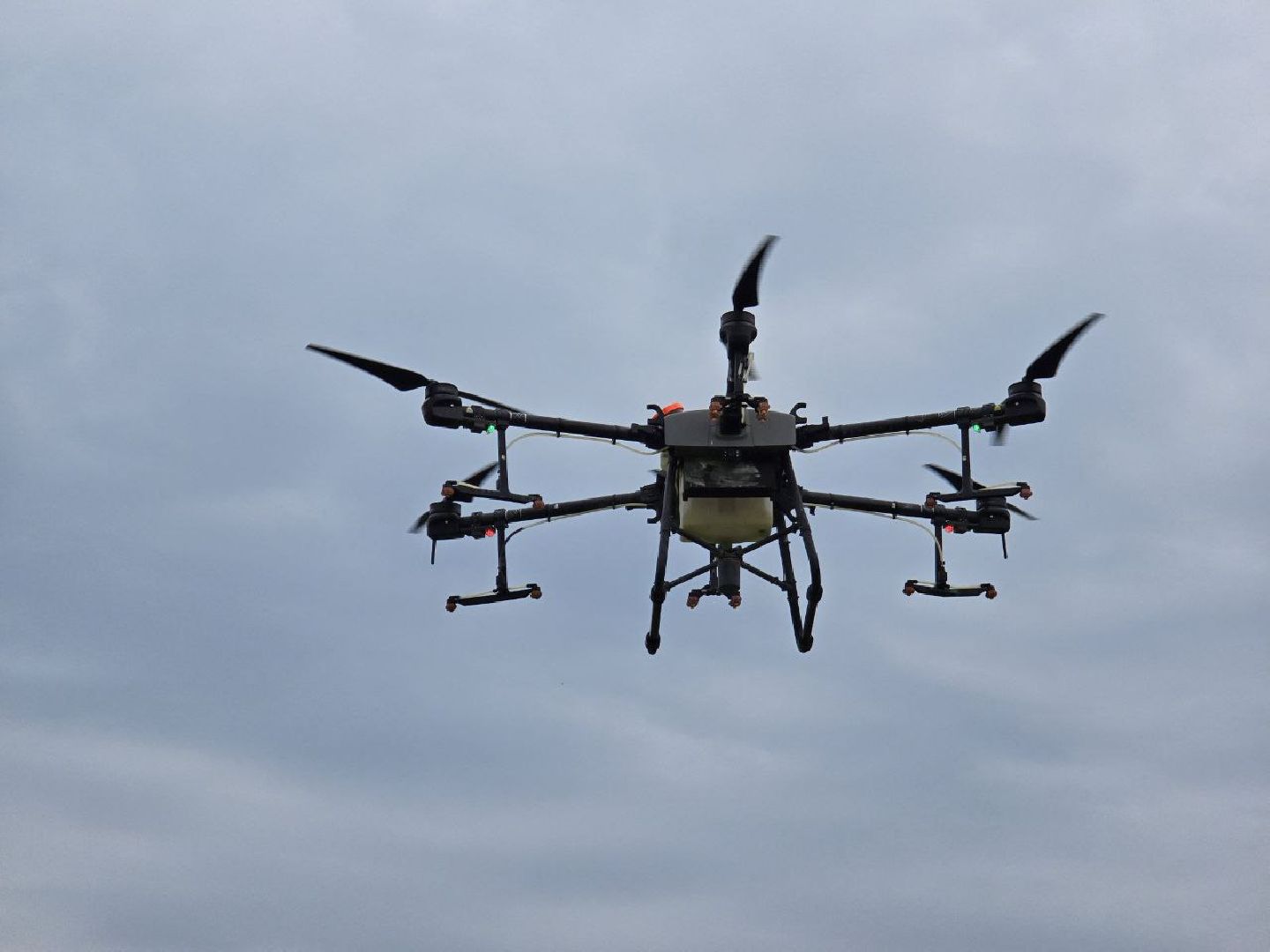 можайск, можайский муниципальный округ, подмосковье, борьба с борщевиком, борщевик Сосновского , дроны, современные технологии, экология,