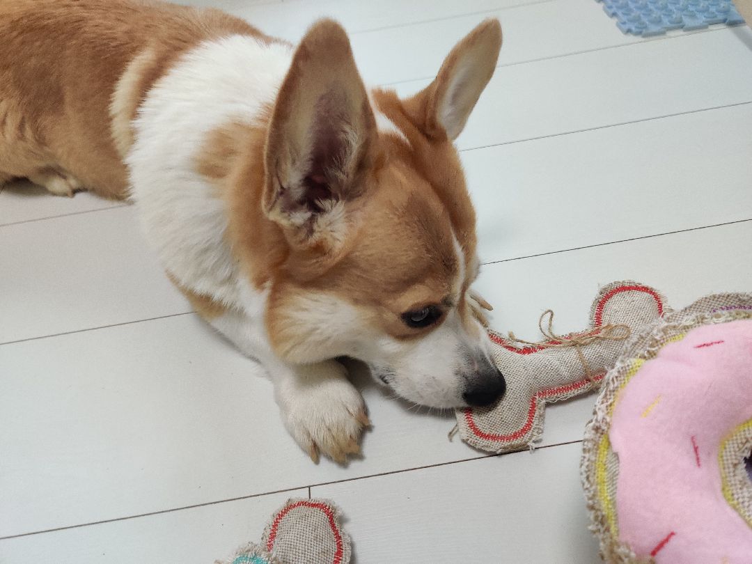 Красноармейск