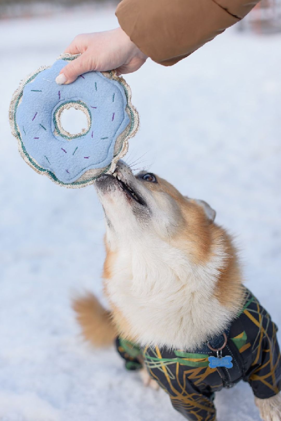 Красноармейск