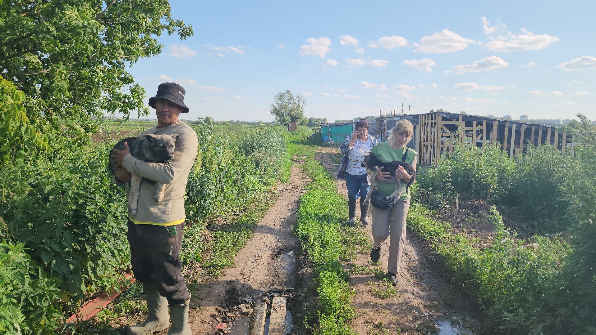 Люберцы, д Михнево, волонтеры, зоозащитники,