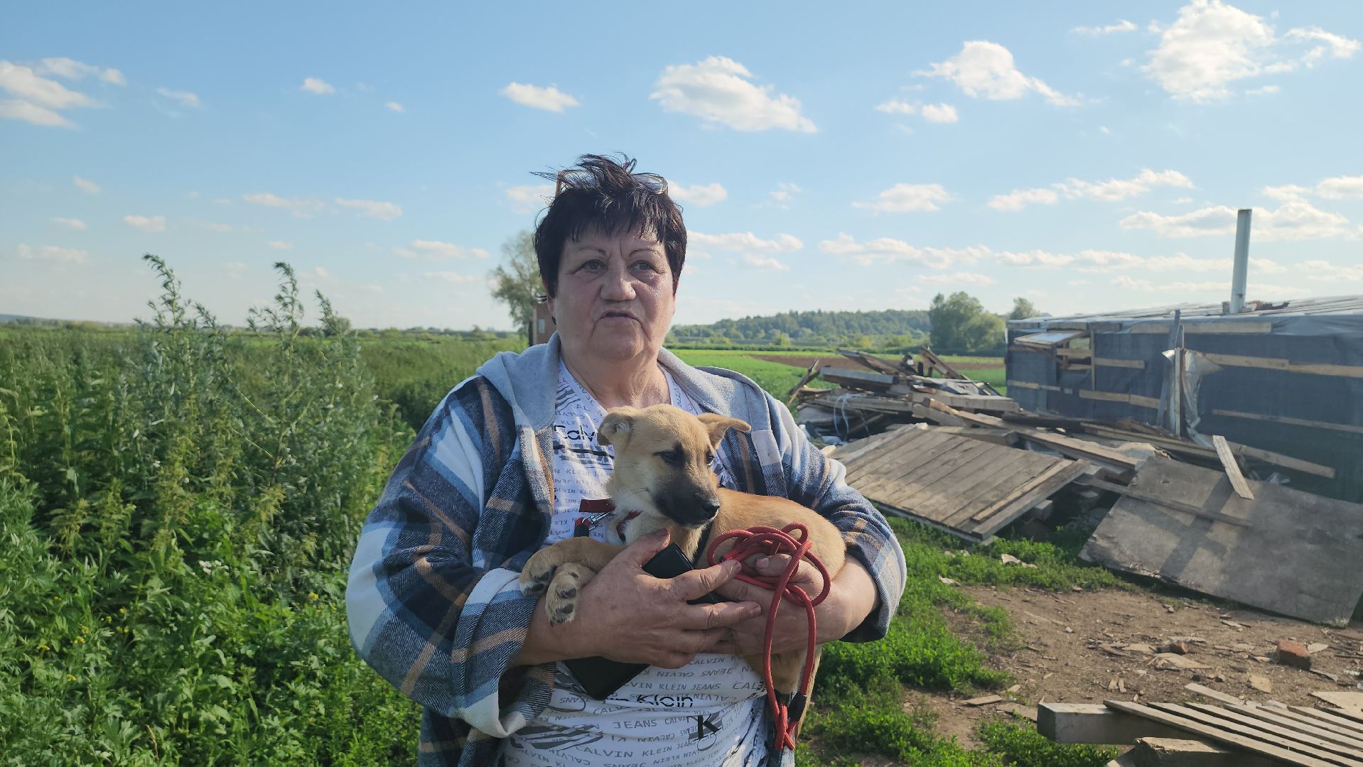 Люберцы, д Михнево, волонтеры, зоозащитники,