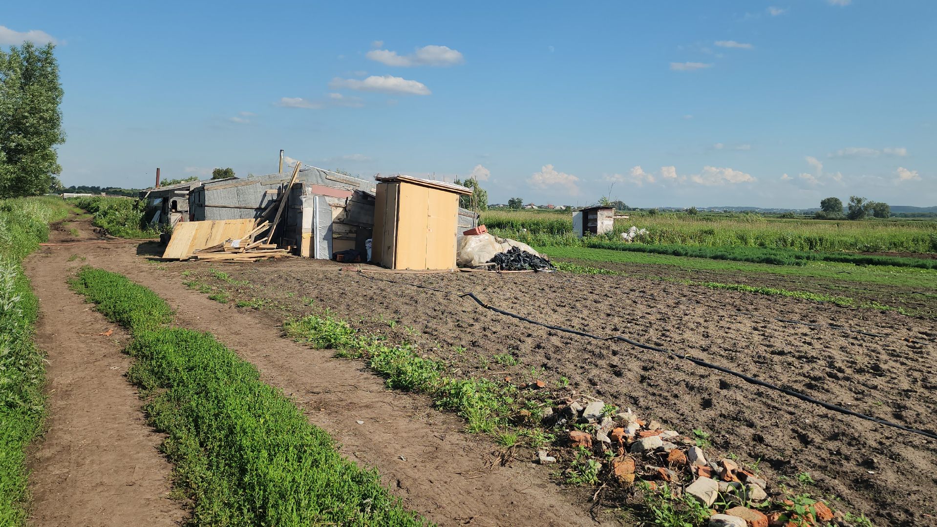 Люберцы, д Михнево, волонтеры, зоозащитники,
