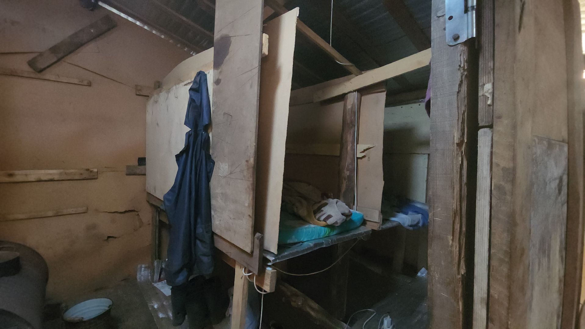 Люберцы, д Михнево, волонтеры, зоозащитники,