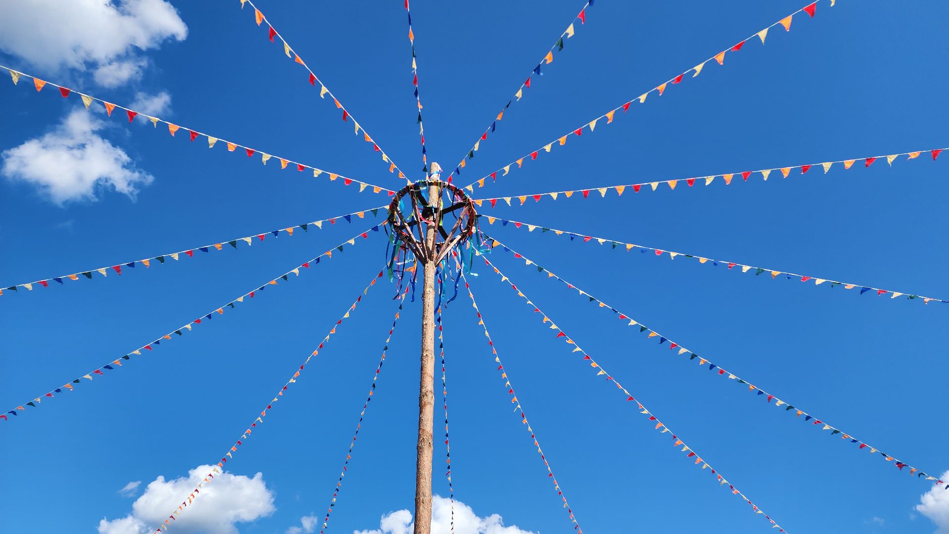 культура, общество, фестиваль, река рожайка, домодедово, подмосковье, иван купала, папоротник,