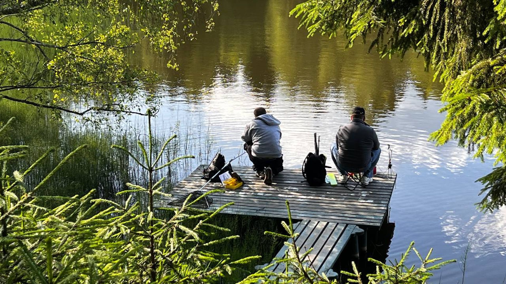 сергиев посад, сергиево-посадский городской округ, лесопарк загорское море, семхоз, рыболовный фестиваль, компания азот,