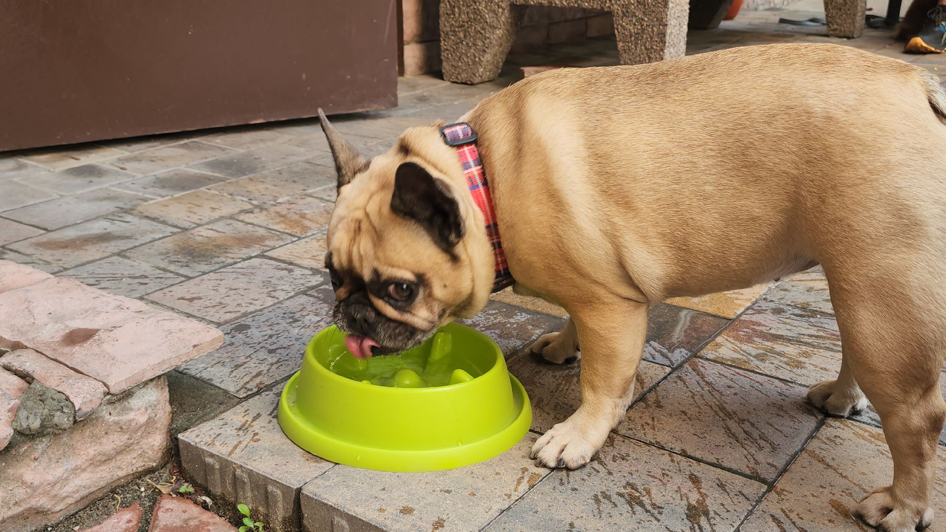 люберцы, ремонт подъезда, управляющая компания,