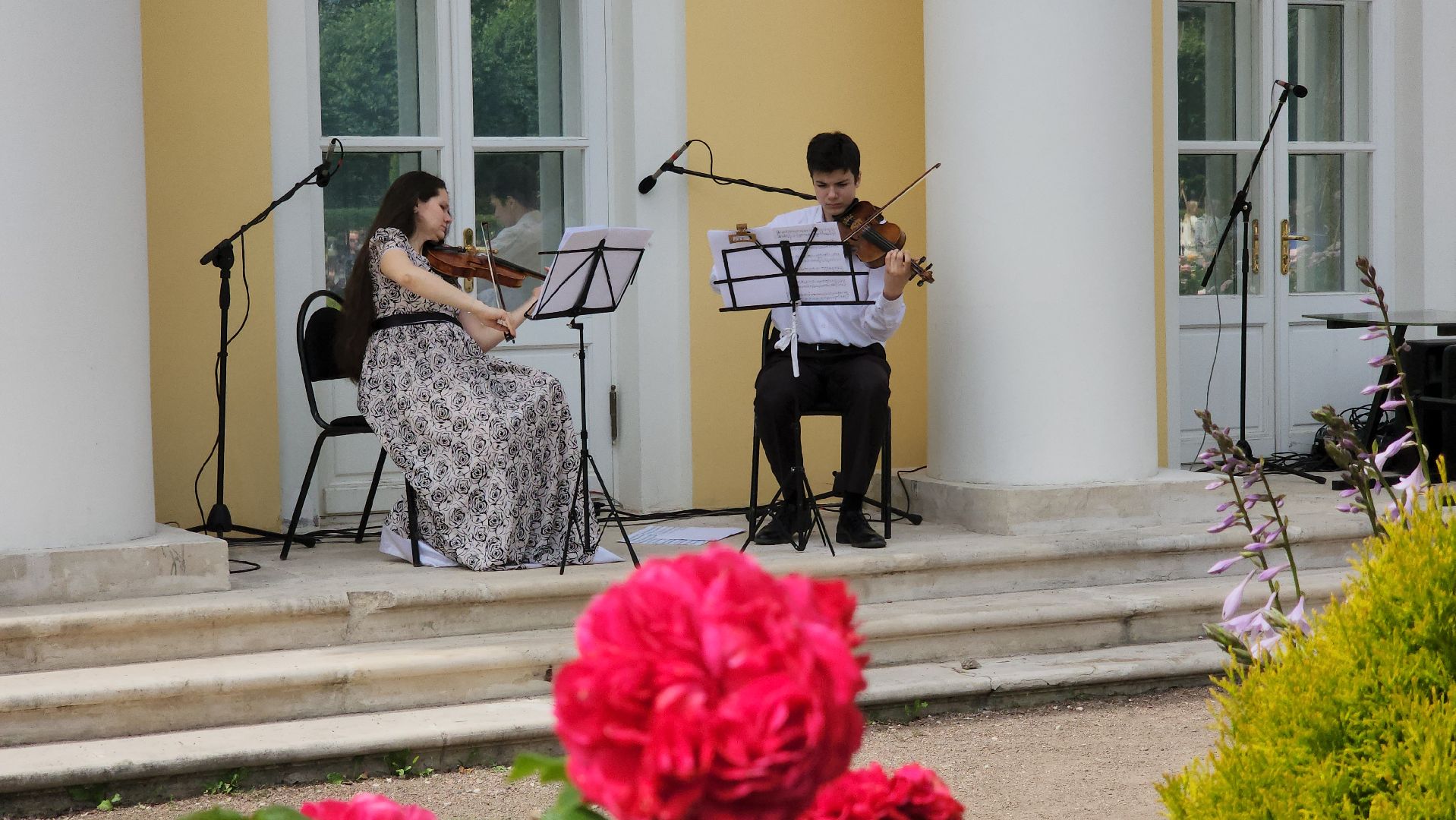 красногорск, архангельское, фестиваль роз,