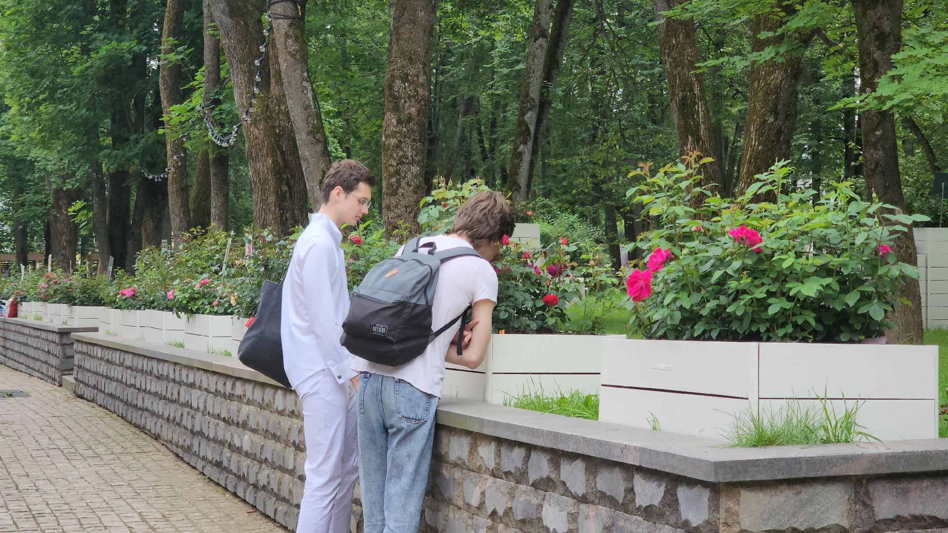 красногорск, архангельское, фестиваль роз,