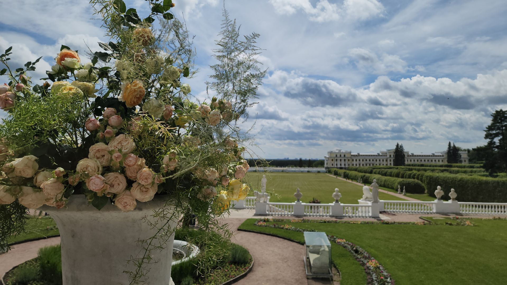 красногорск, архангельское, фестиваль роз,