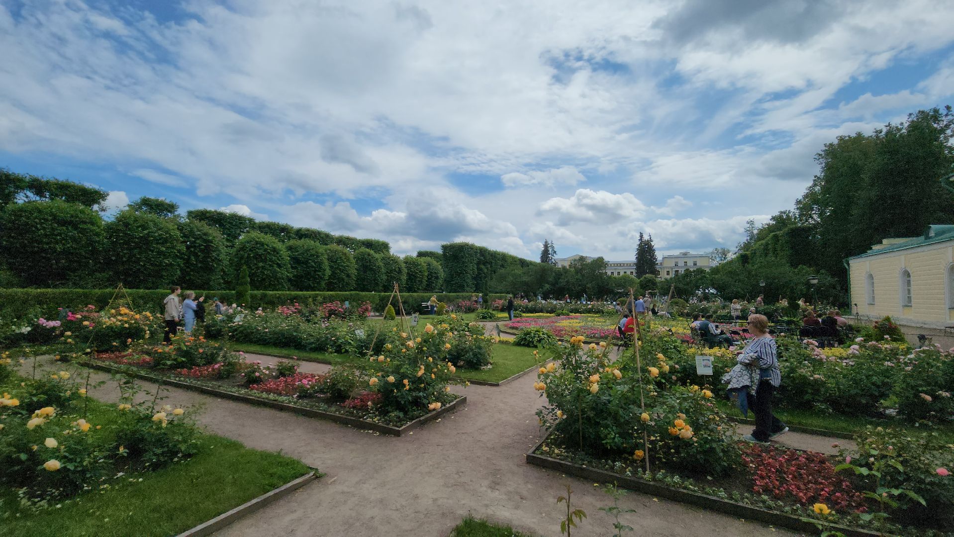 красногорск, архангельское, фестиваль роз,