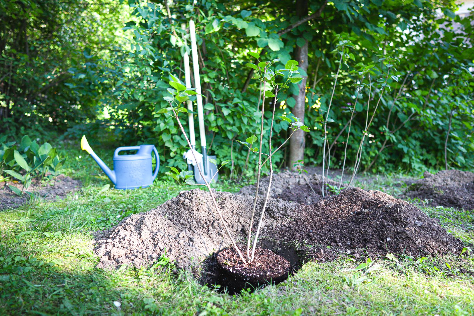 клин, культура, фестиваль чайковского, балет,