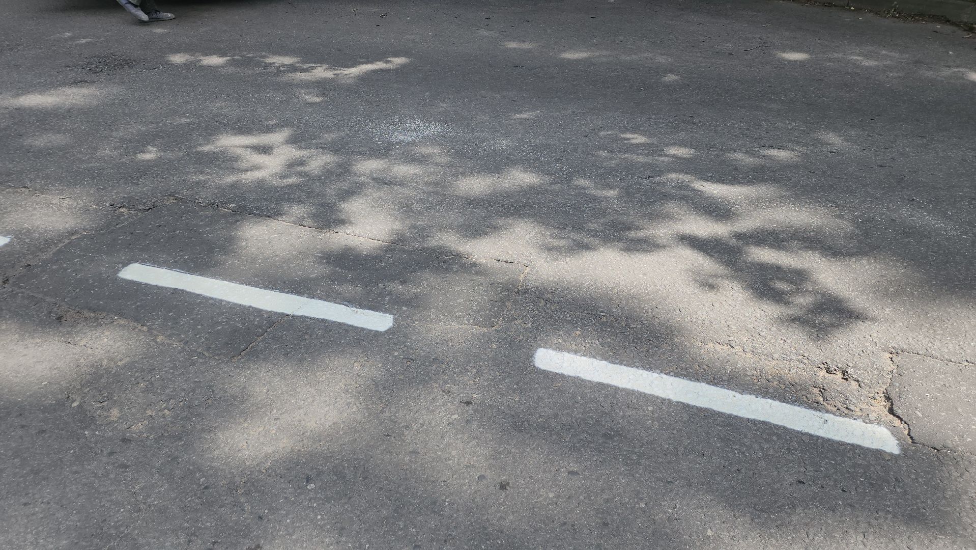 вертикалки, пушкино, дорожная разметка, коммунальная служба, краска, рабочие, нанесение разметки на дорогу,