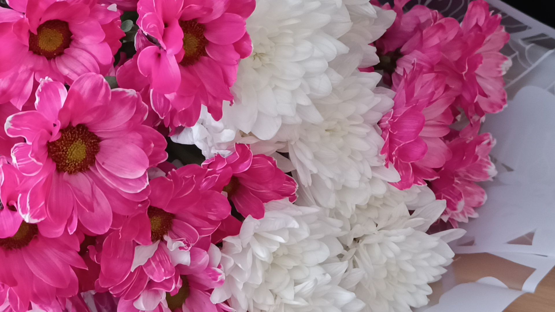 полиция, лобня, день семьи любви и верности,