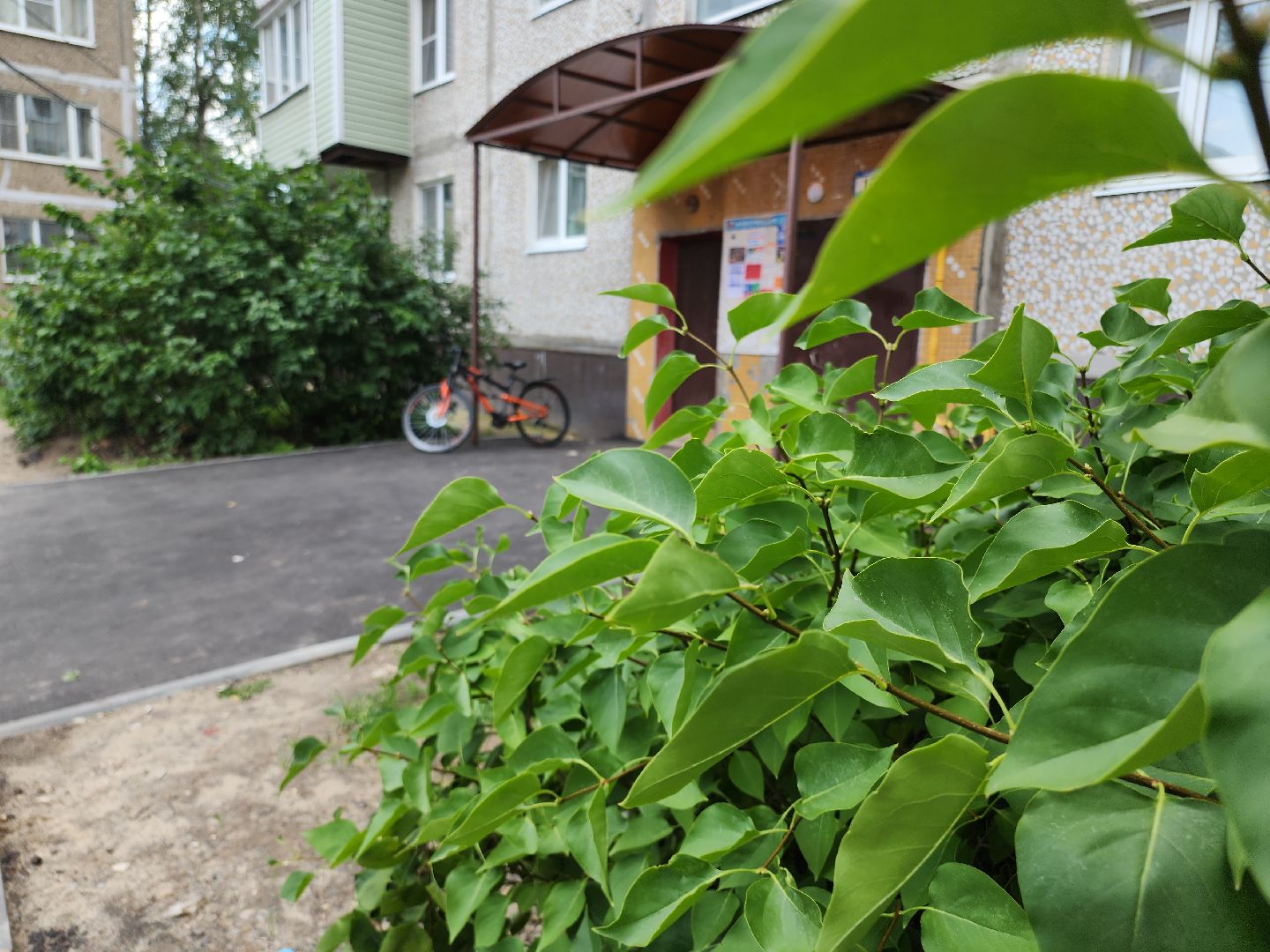 Егорьевск , Подмосковье , Московская область ,