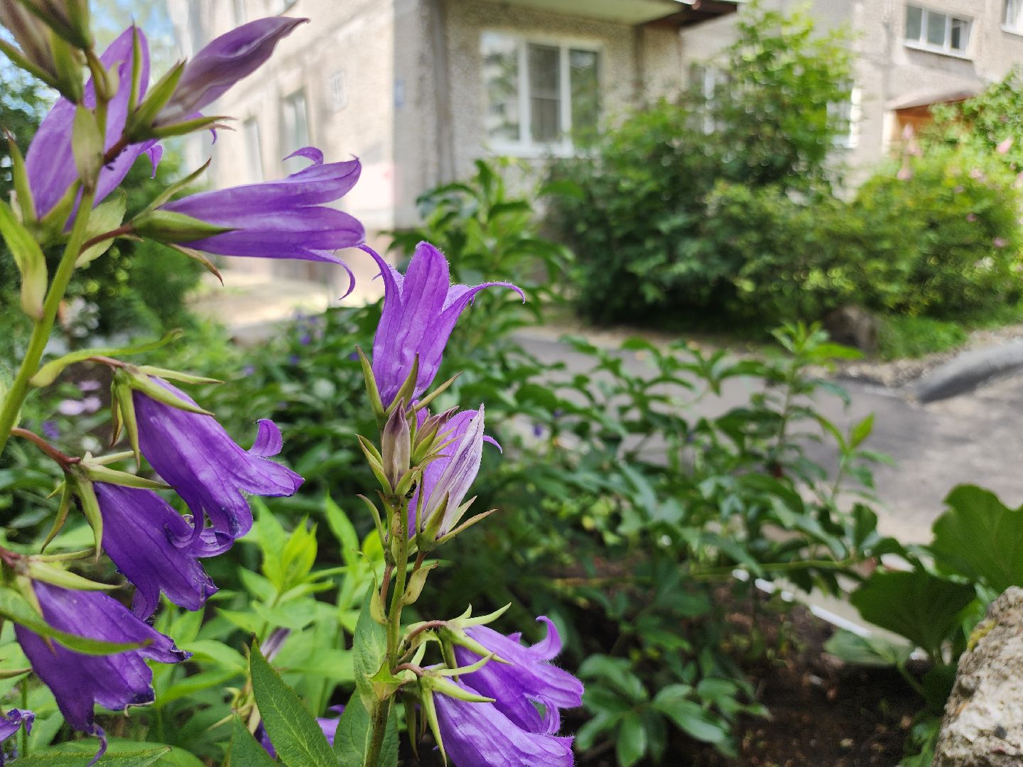 Егорьевск , Подмосковье , Московская область ,