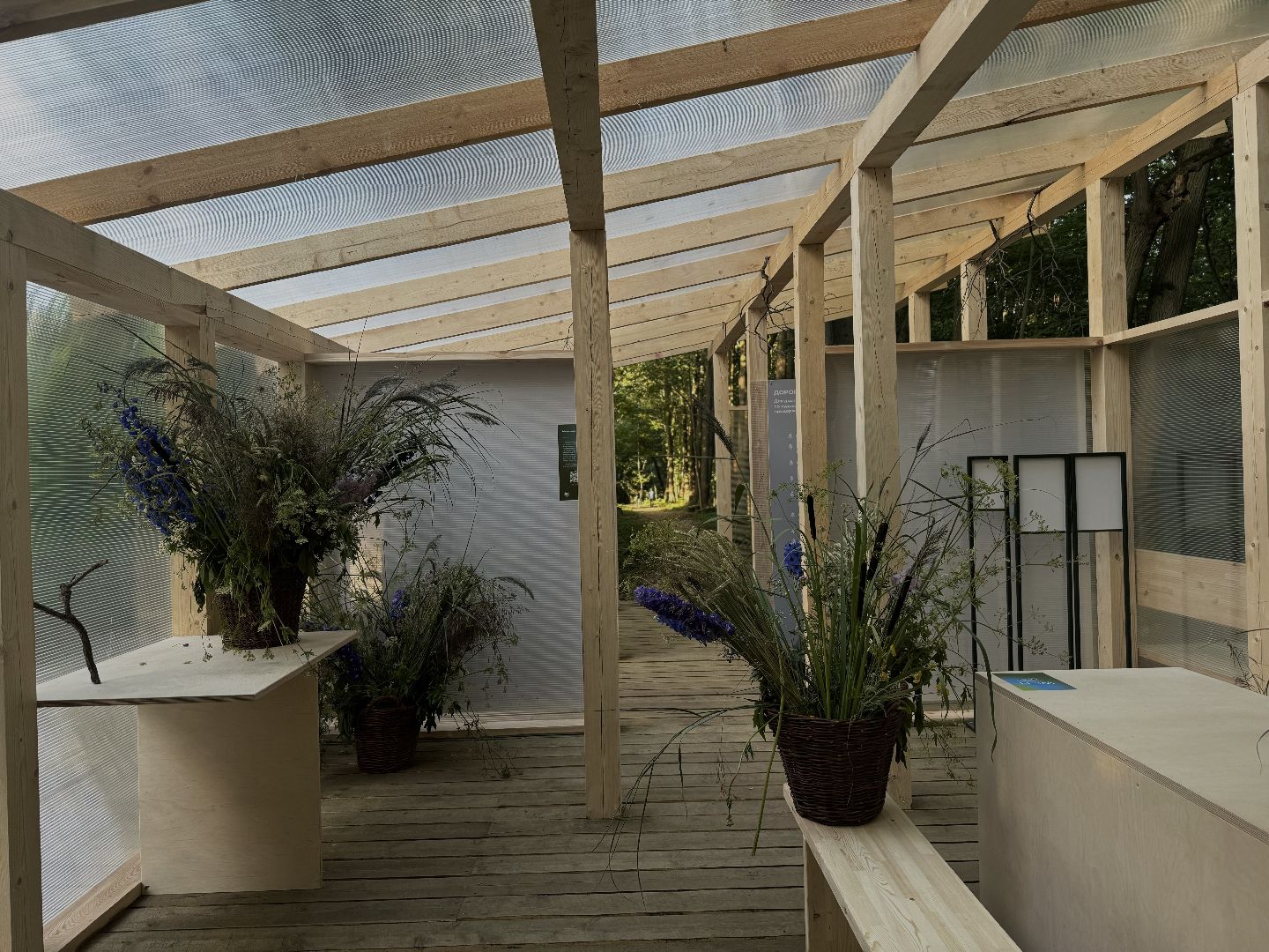 терапевтическая тропа , музей заповедник горки ленинские, лесотерапия, ленинский городской округ,