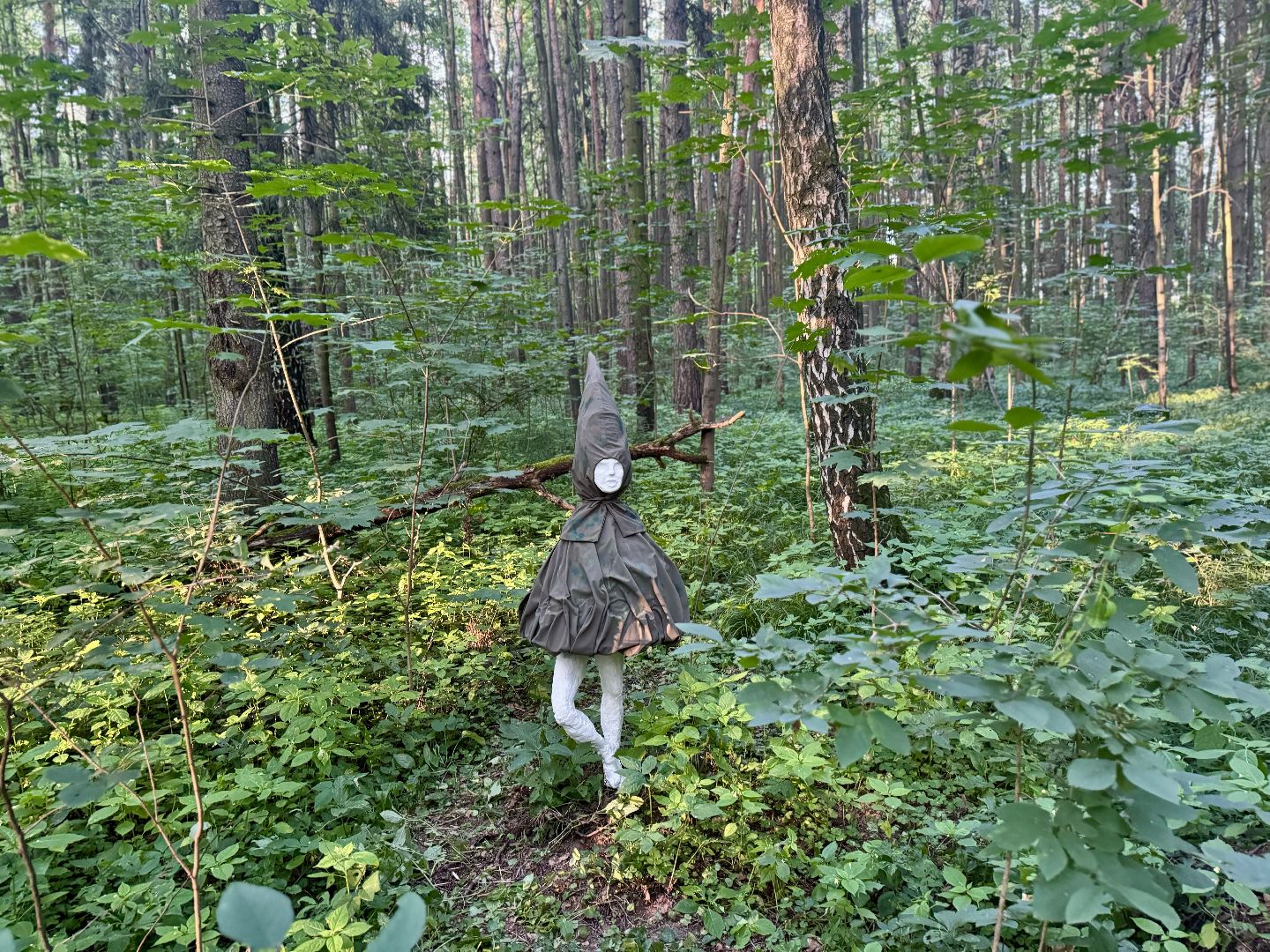 терапевтическая тропа , музей заповедник горки ленинские, лесотерапия, ленинский городской округ,