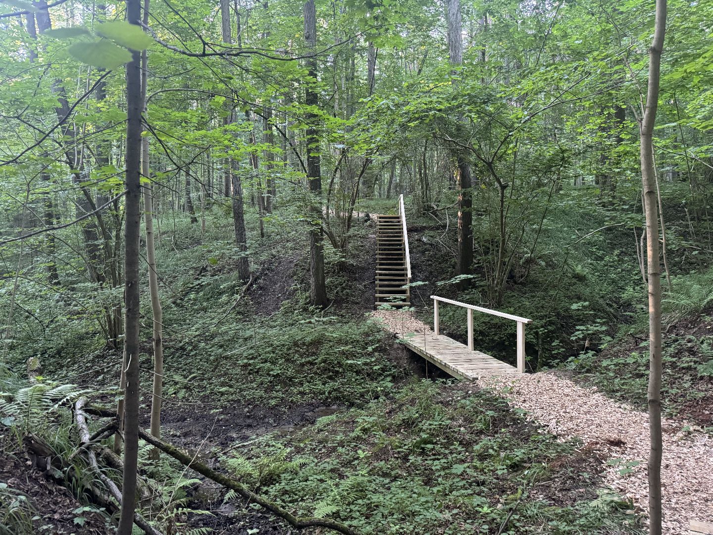 терапевтическая тропа , музей заповедник горки ленинские, лесотерапия, ленинский городской округ,