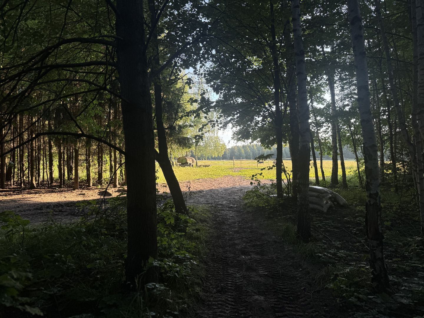 терапевтическая тропа , музей заповедник горки ленинские, лесотерапия, ленинский городской округ,