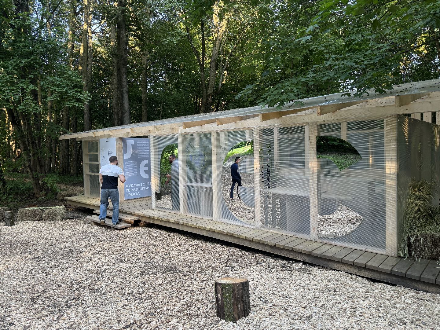 терапевтическая тропа , музей заповедник горки ленинские, лесотерапия, ленинский городской округ,