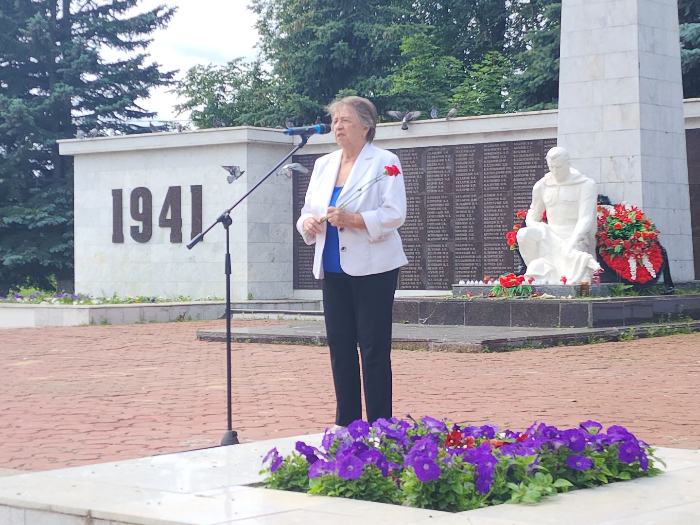 красноармейск, городской округ пушкинский, день народного ополчения, ветераны сво,