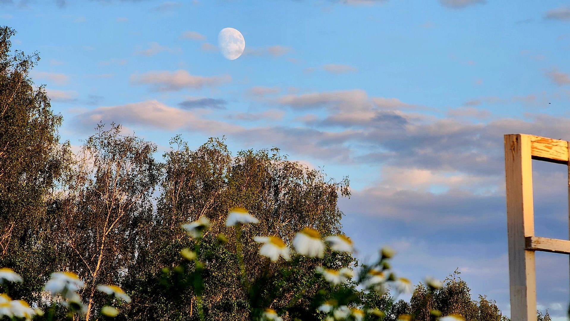 ступино, ступино квадрат, экономика, бизнес,