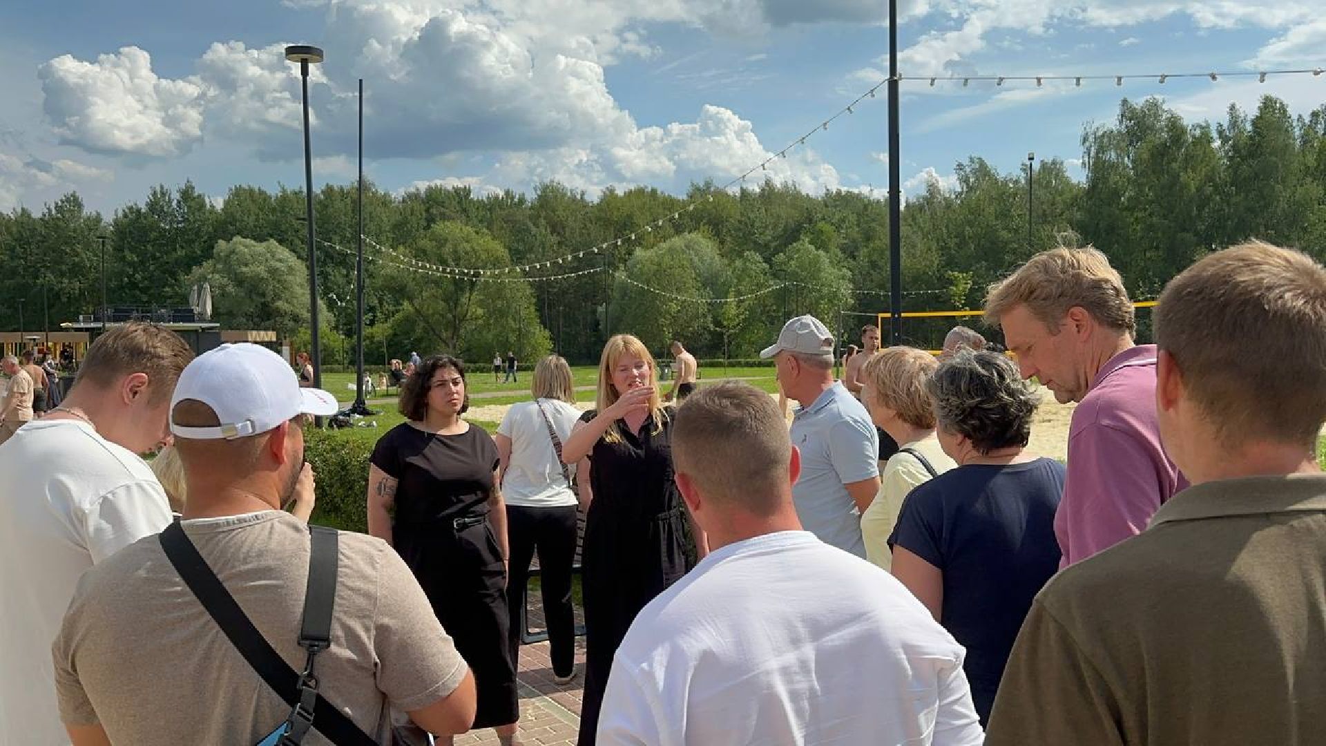 парки, домодедово, общественный совет,