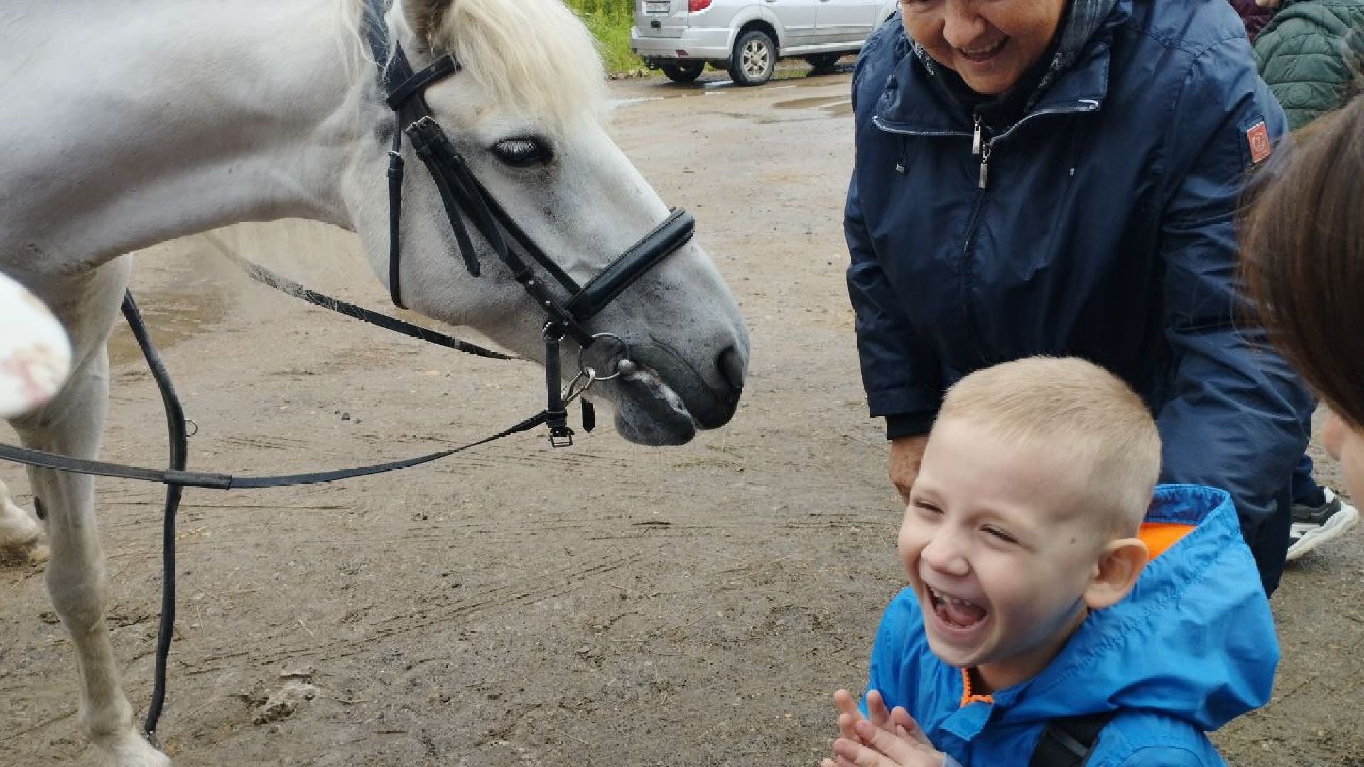 ивантеевка, пушкинский, дети с овз, иппотерапия, конный клуб,животные,социализация детей,психическое здоровье,вертикалки,