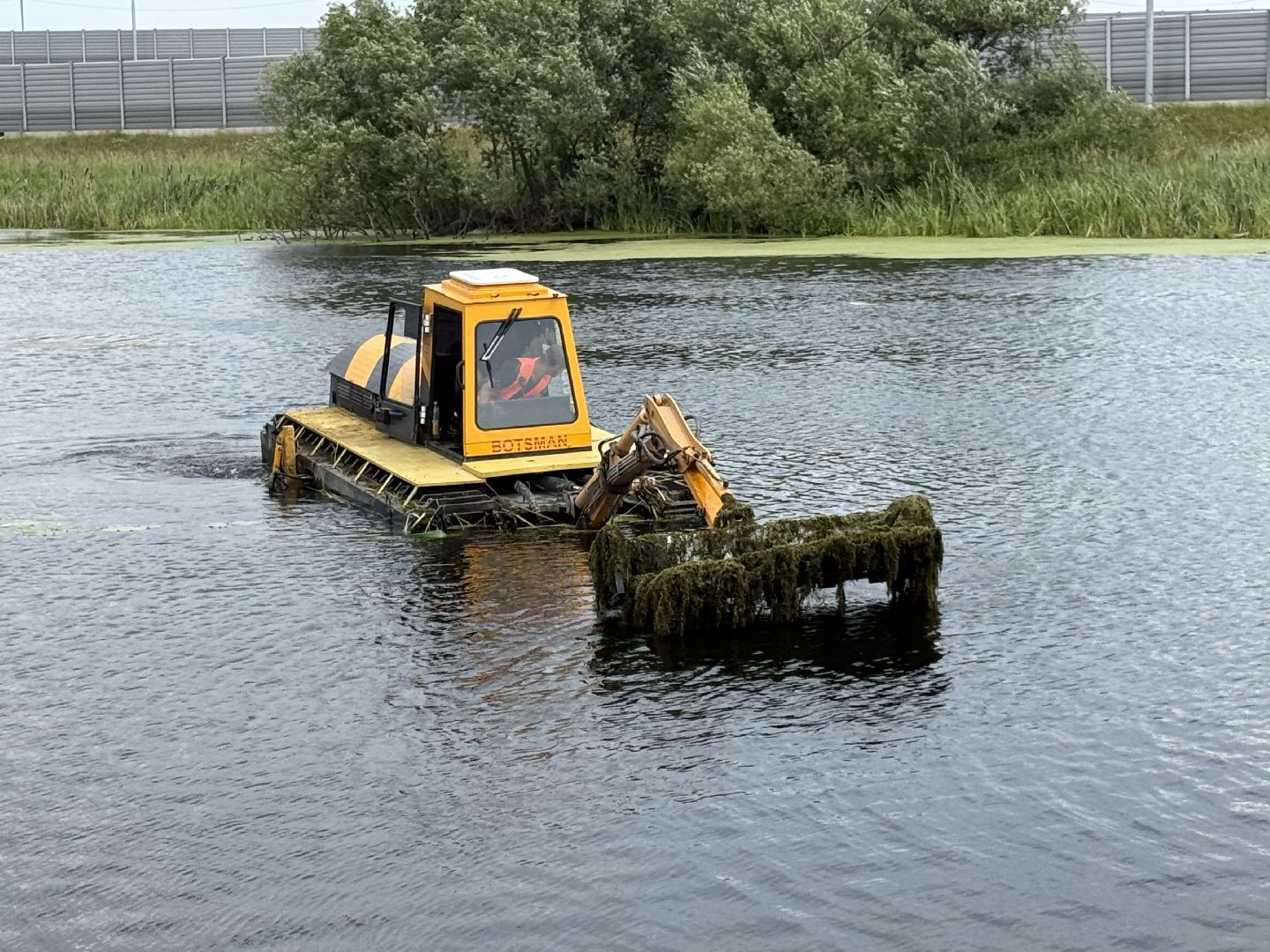 люберцы, озеро, благоустройсво, экология,