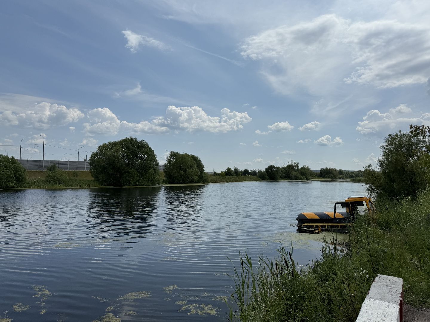 люберцы, озеро, благоустройсво, экология,