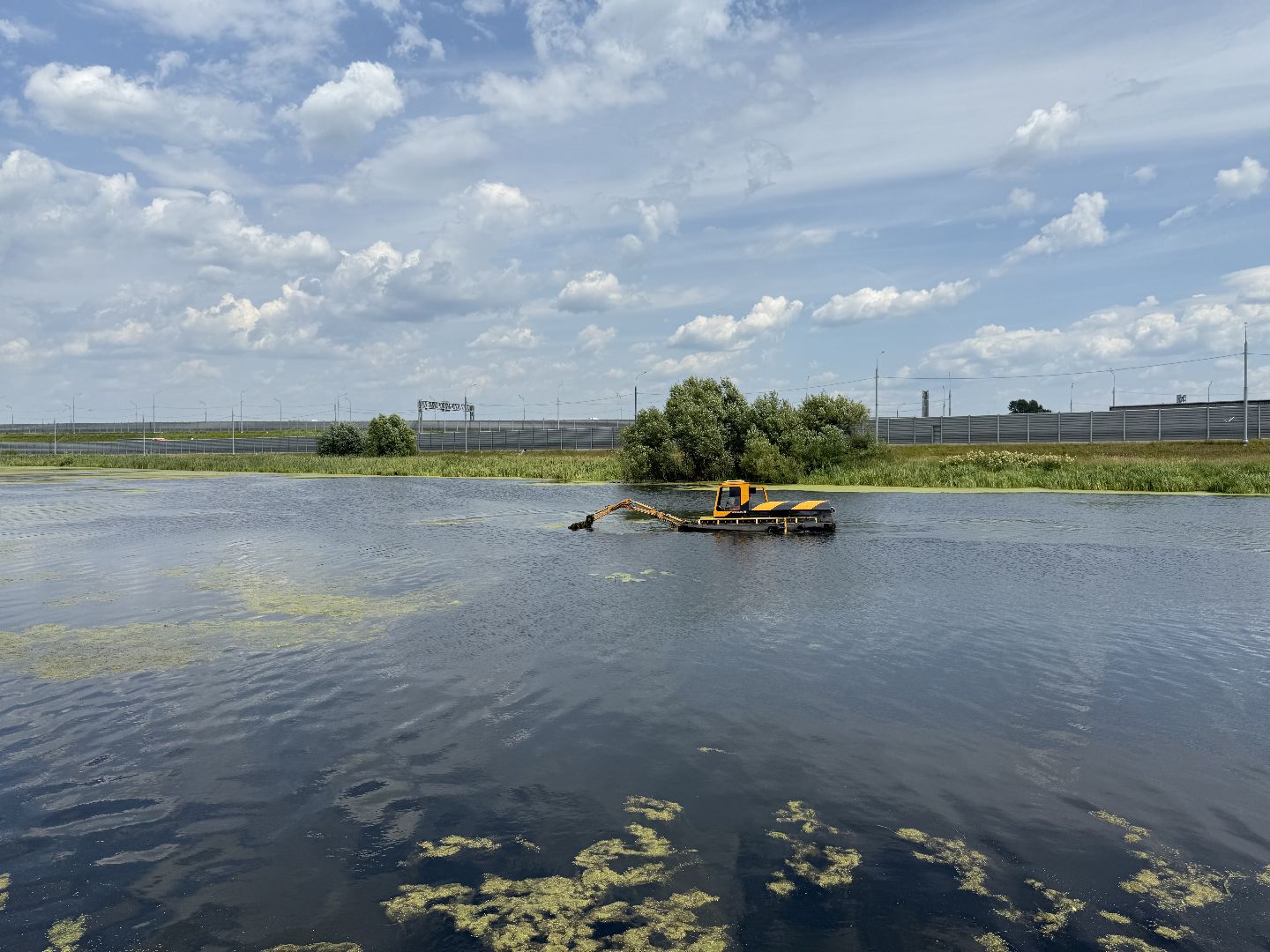 люберцы, озеро, благоустройсво, экология,