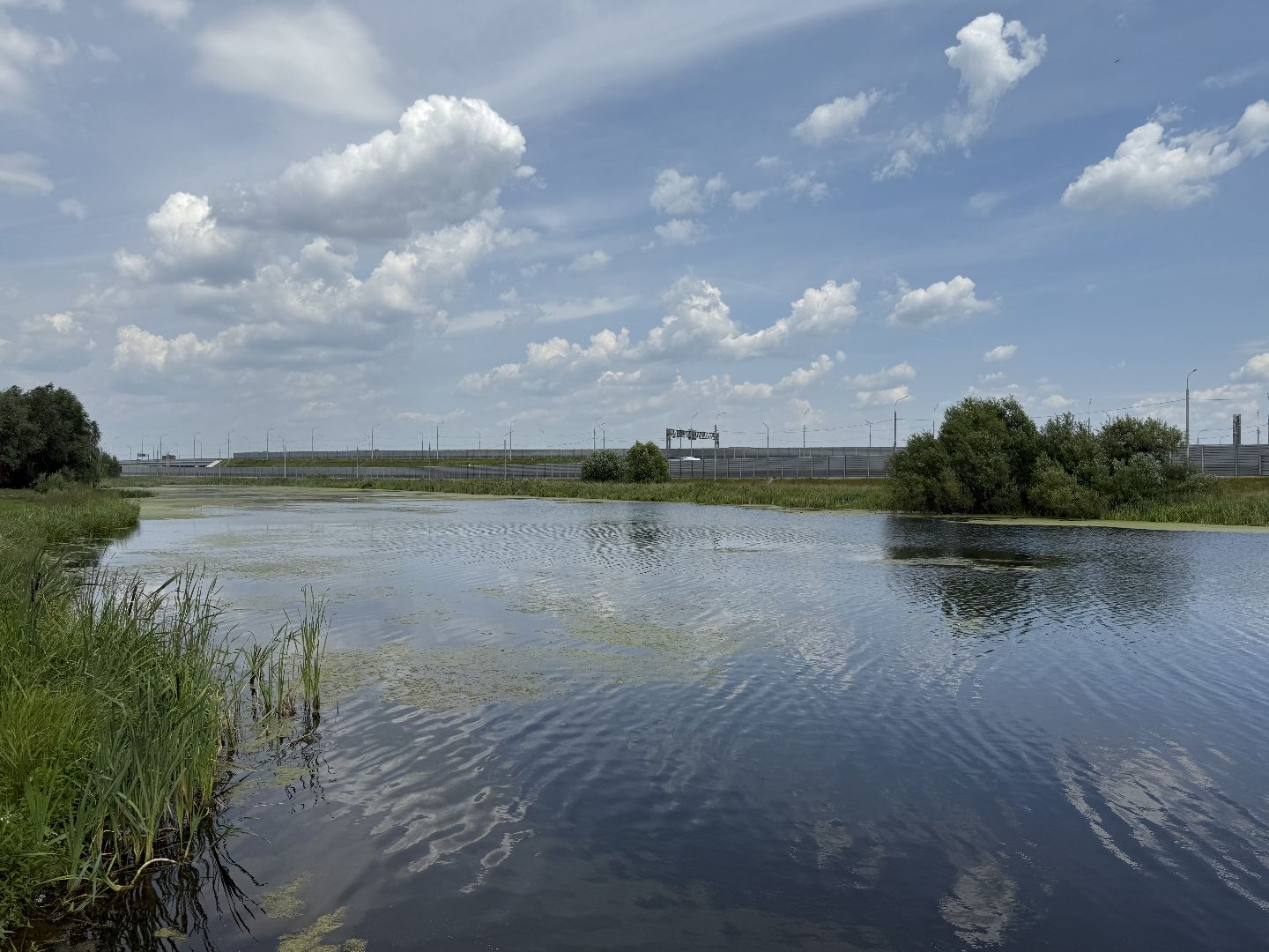 люберцы, озеро, благоустройсво, экология,