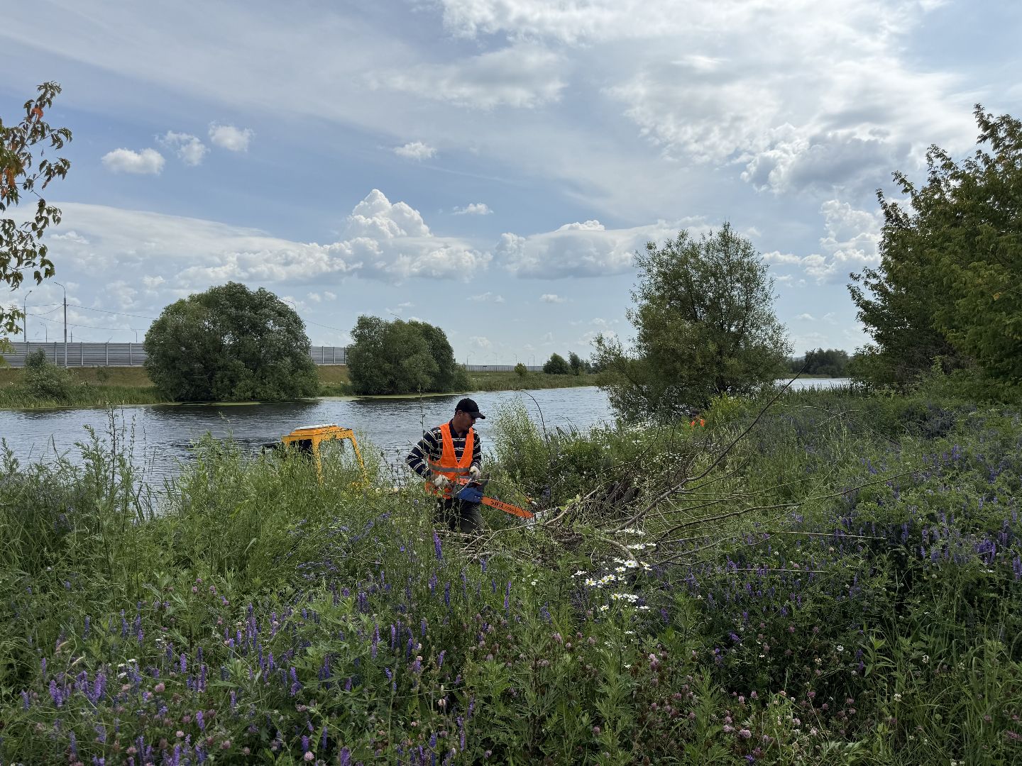 люберцы, озеро, благоустройсво, экология,