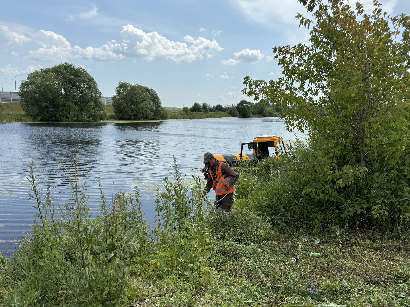 люберцы, озеро, благоустройсво, экология,