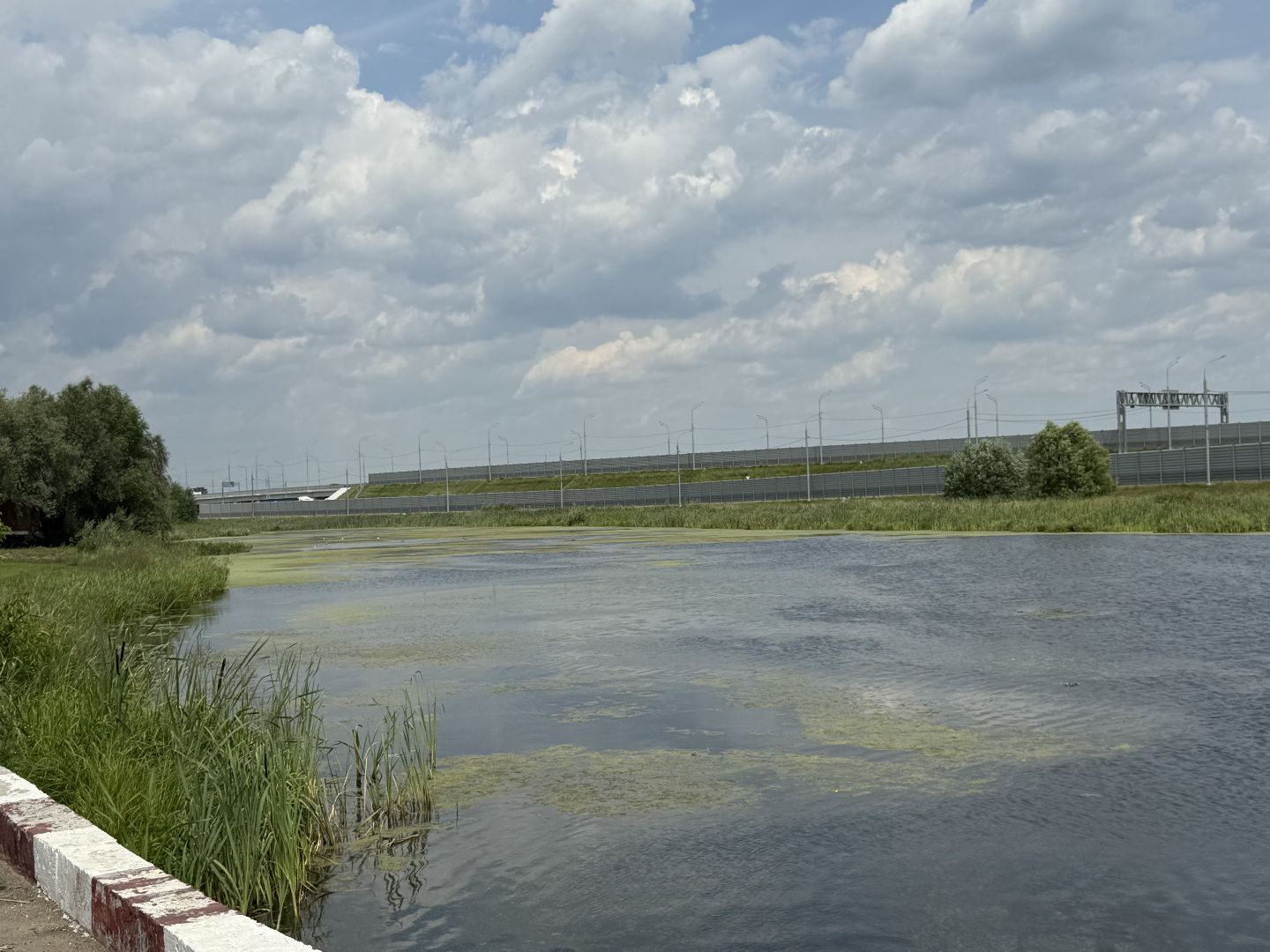 люберцы, озеро, благоустройсво, экология,