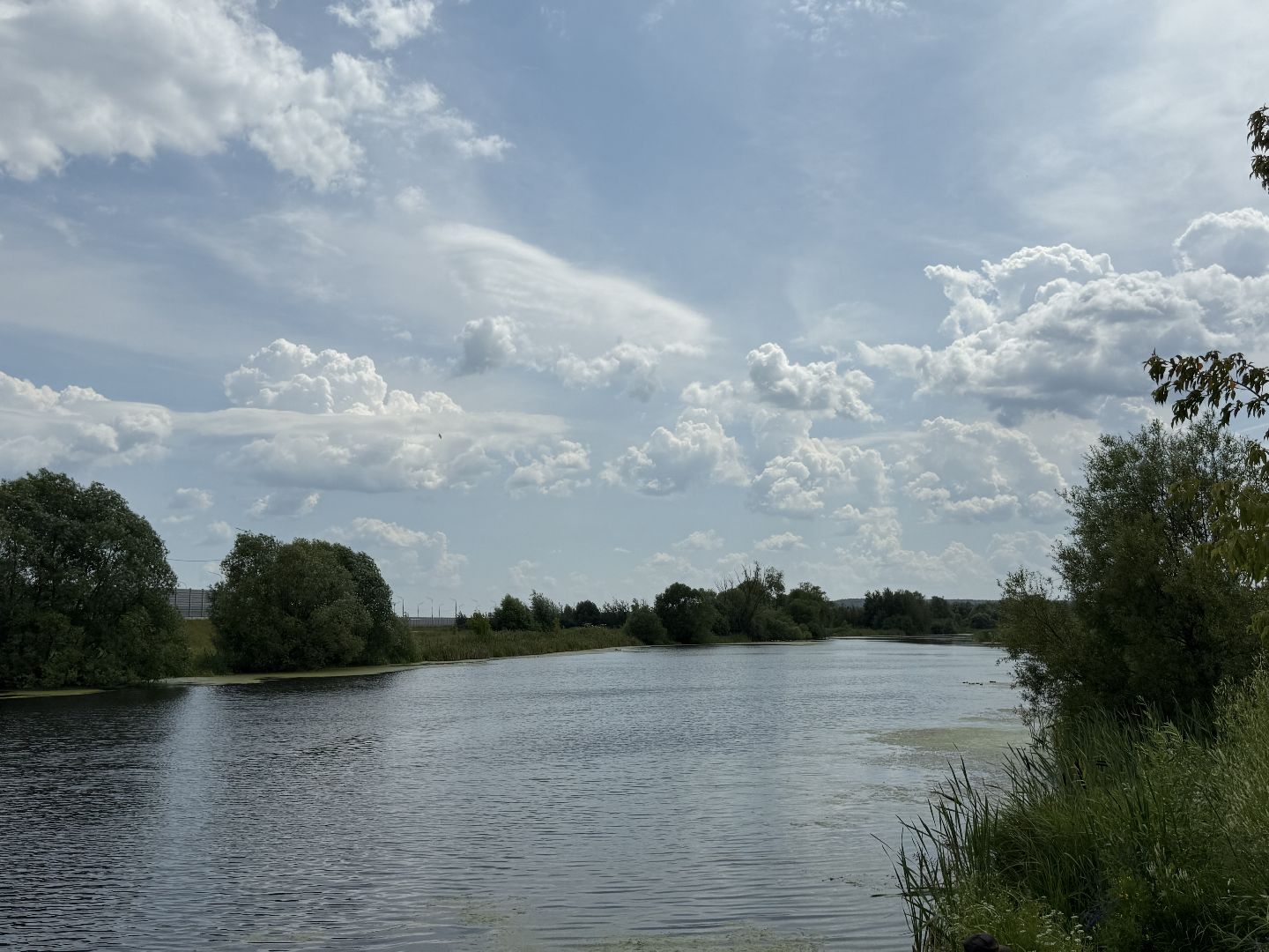 люберцы, озеро, благоустройсво, экология,