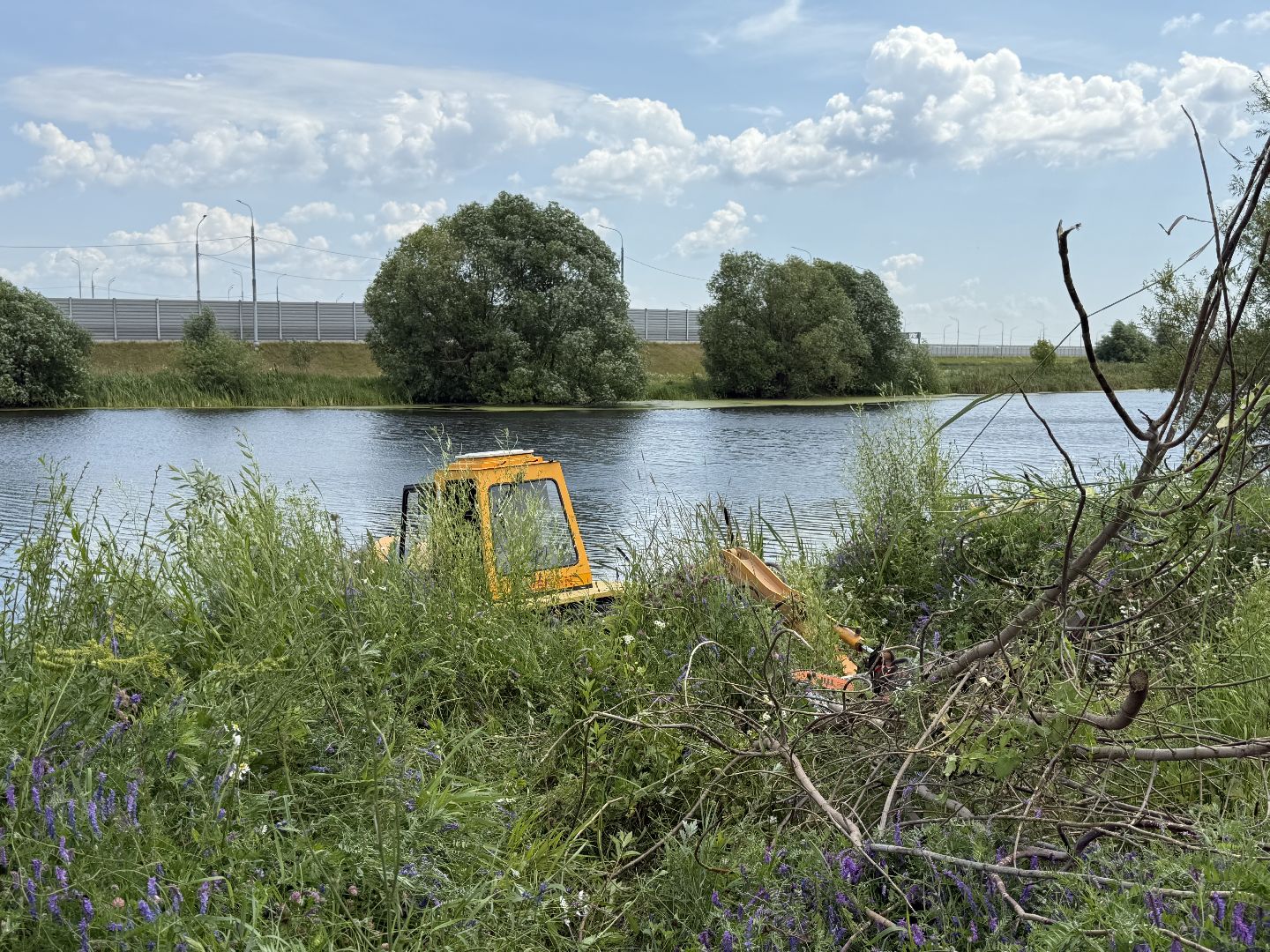 люберцы, озеро, благоустройсво, экология,