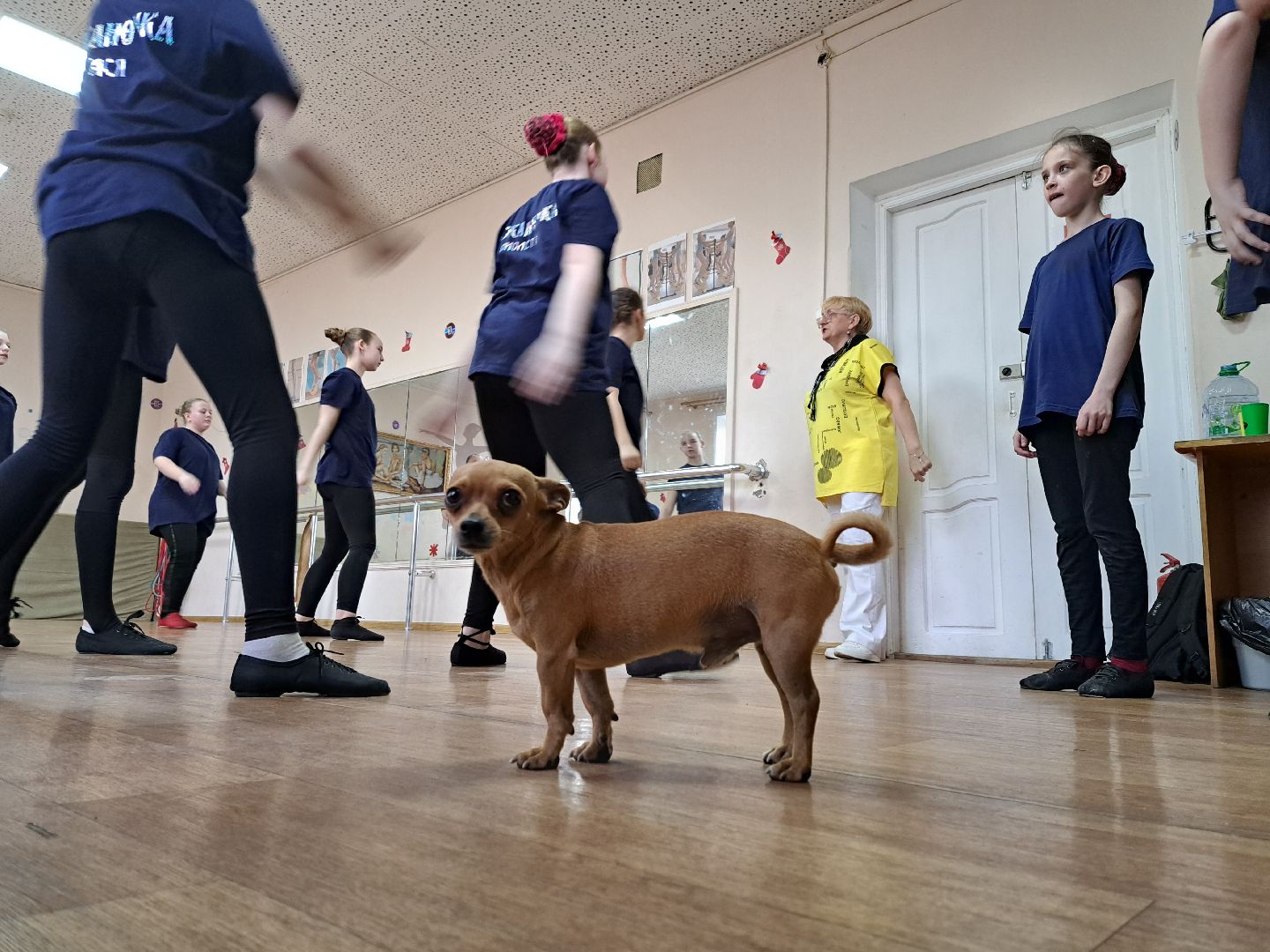 Рузский городской округ, Ружаночка, конкурс, Сияй, Танцуй Россия, Дорохово