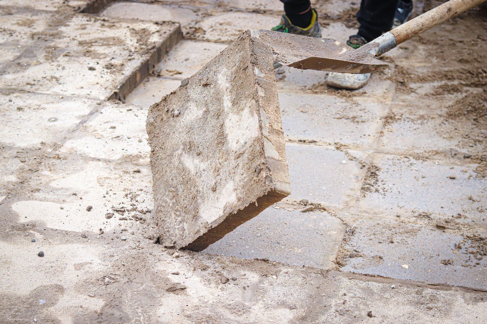 клин, общество, благоустройство,