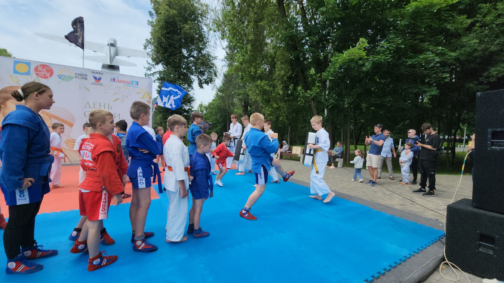 Истра, Спорт, Единоборства, день семьи любви и верности, Парк,