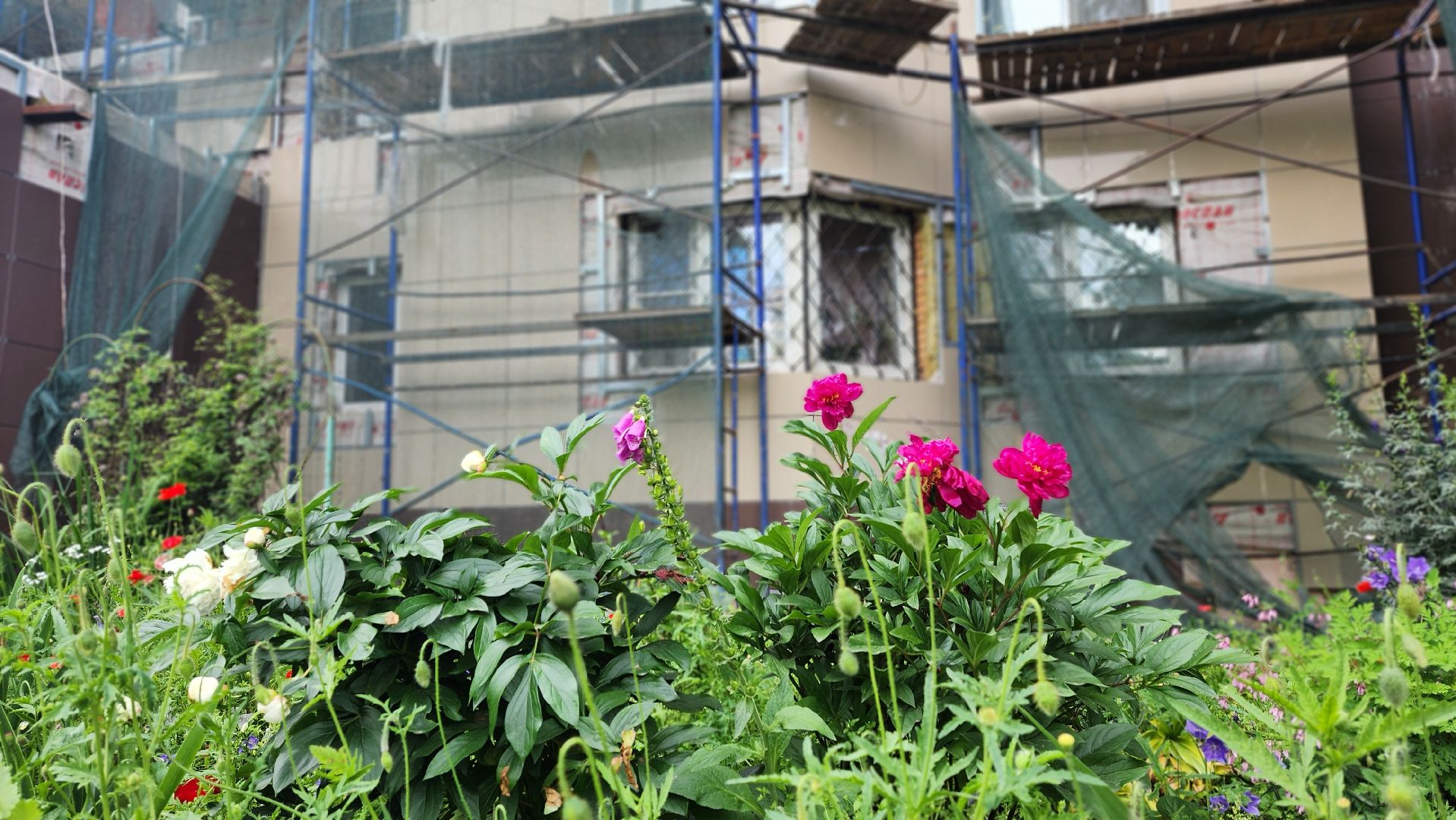 солнечногорск, жкх, капремонт фасада, улица красная,