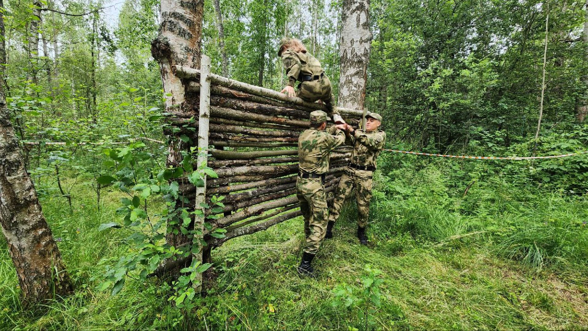 Дмитров, Игра Северный рубеж, Кадетский корпус Следкома, Юнармия, Боевое братство,