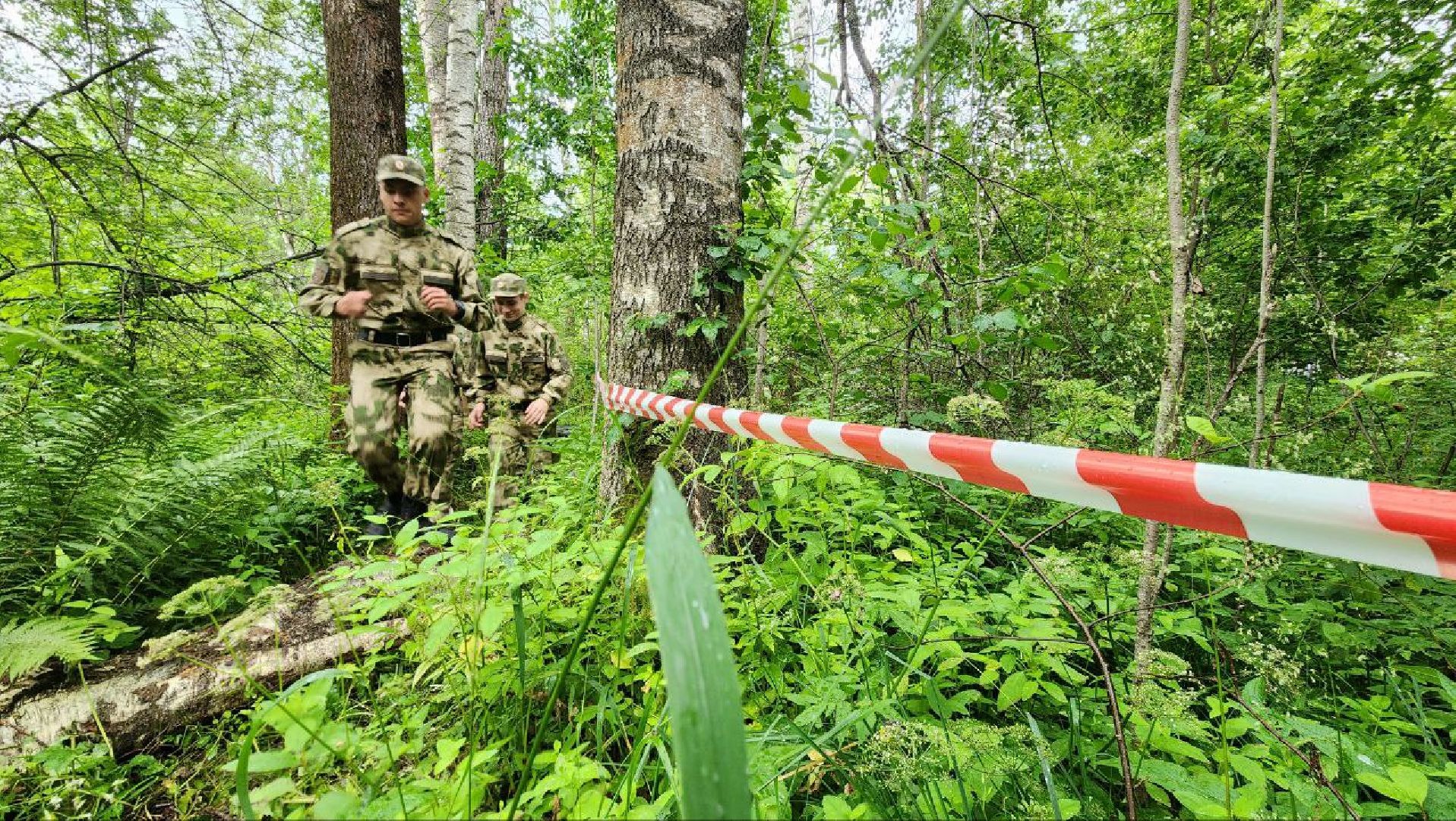 Дмитров, Игра Северный рубеж, Кадетский корпус Следкома, Юнармия, Боевое братство,