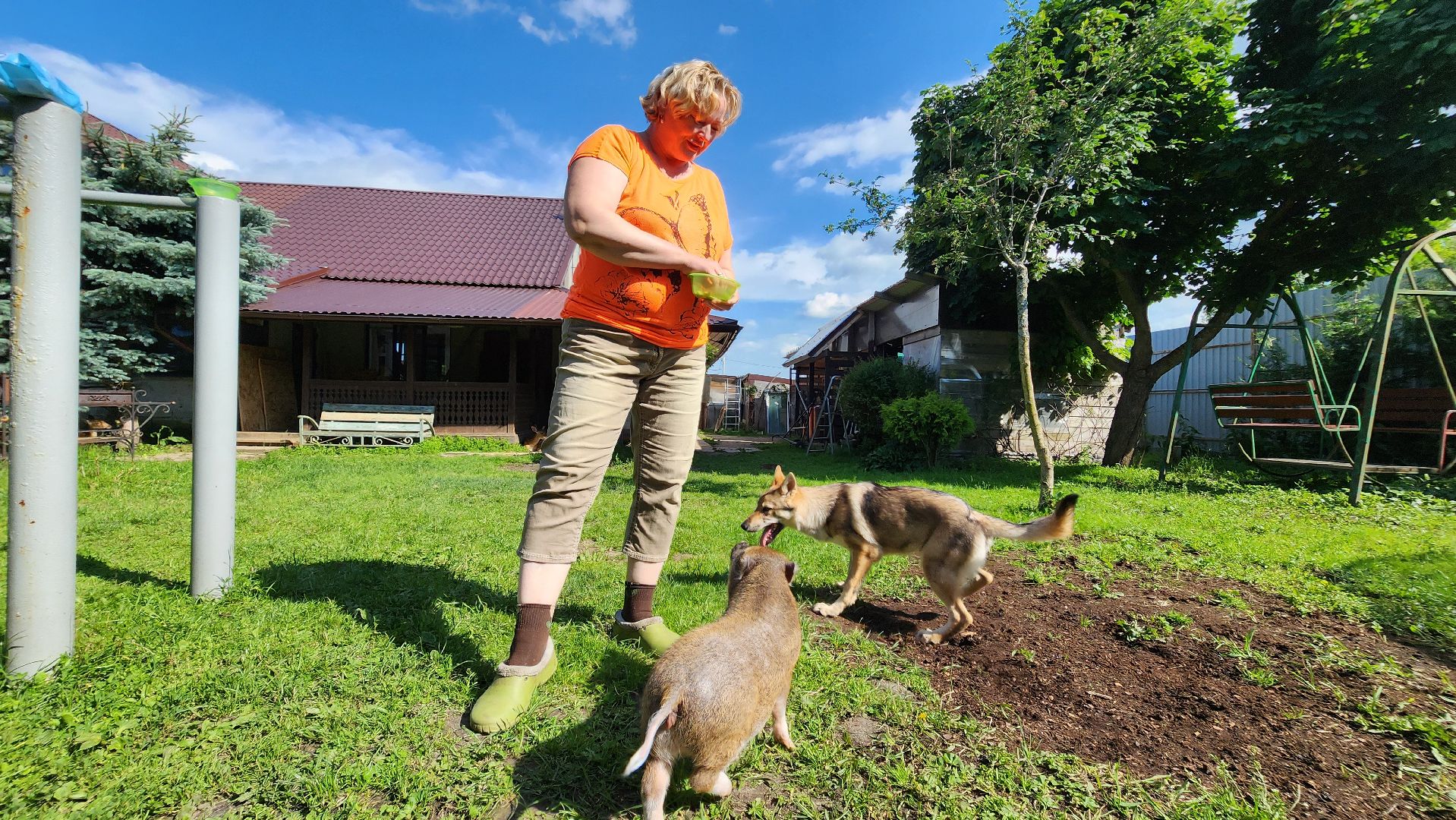 солнечногорск, сенежский олень, животные, волчок и поросенок, туризм,