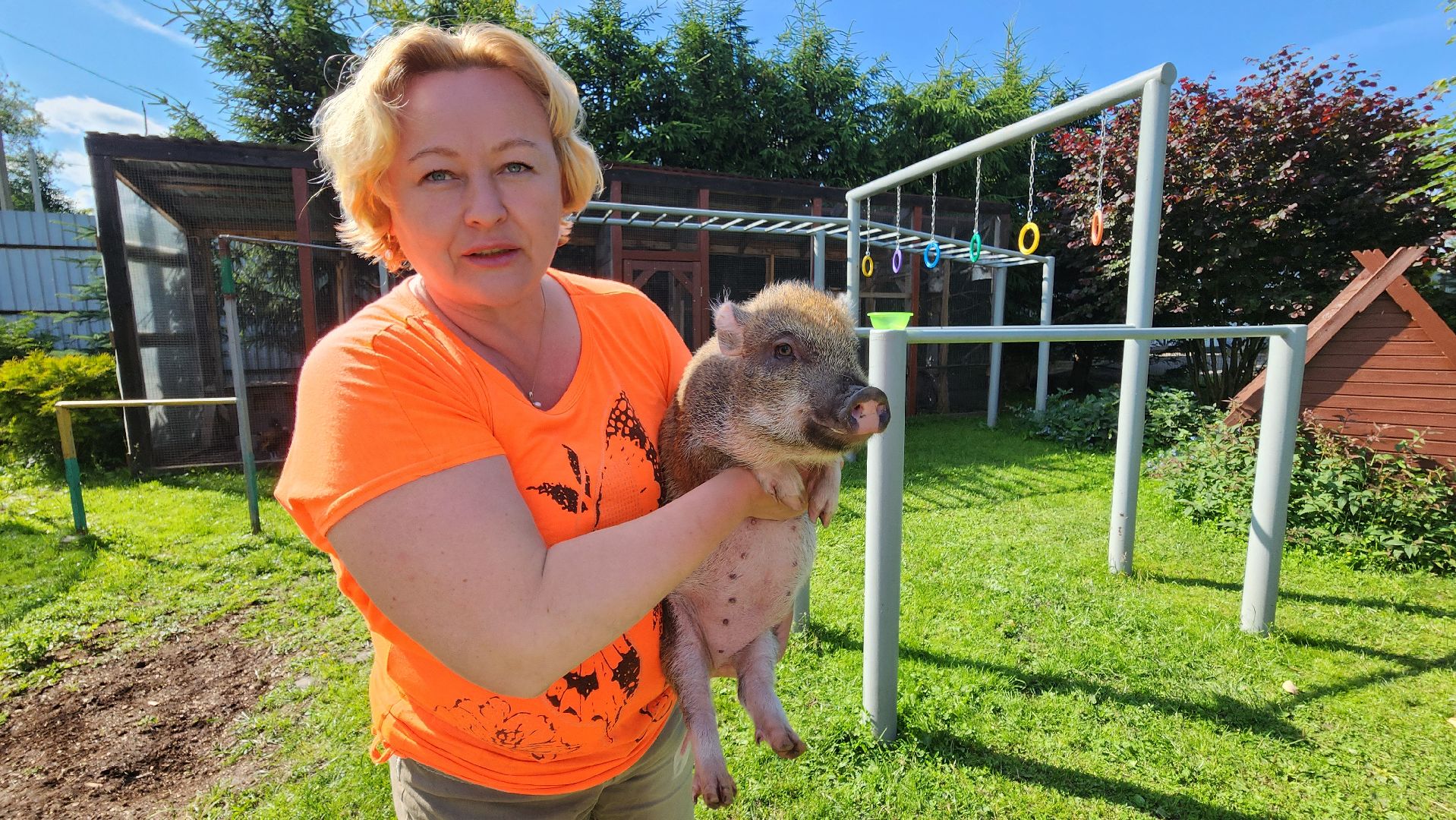 солнечногорск, сенежский олень, животные, волчок и поросенок, туризм,