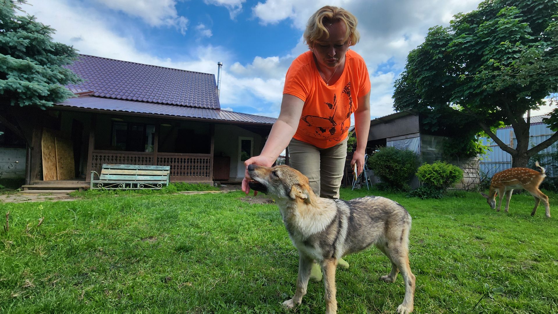 солнечногорск, сенежский олень, животные, волчок и поросенок, туризм,